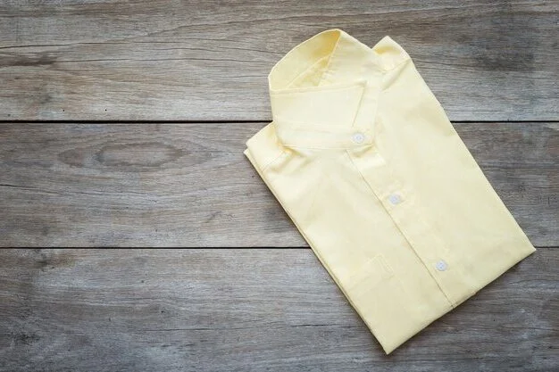 shirt laundry service in Pimlico, London